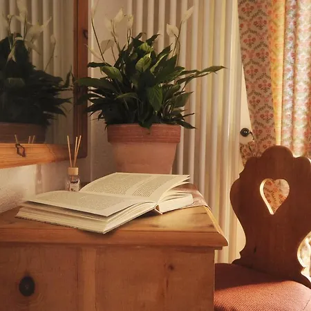 + Chesa Silva 酒店 3*