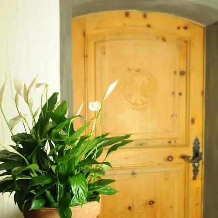 酒店 + Chesa Silva 3*