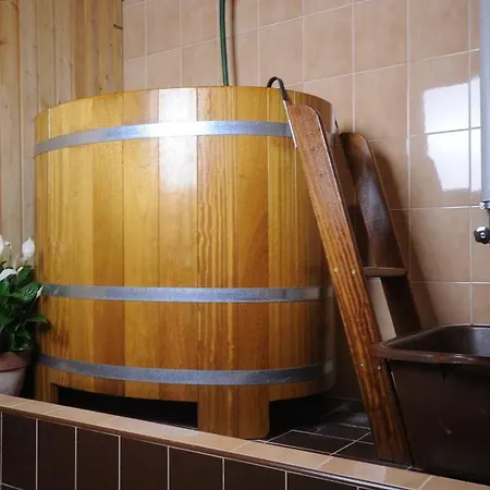 酒店 + Chesa Silva