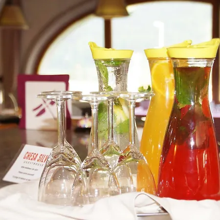 酒店 + Chesa Silva