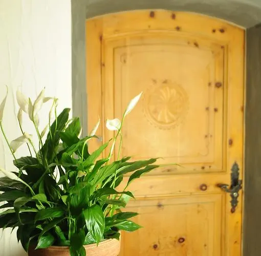 Szálloda + Chesa Silva 3*