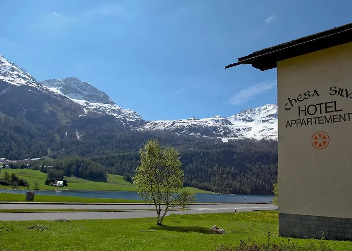 Hotel + Chesa Silva 3*